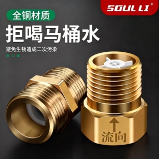 单向止回阀卫生间水管马桶防反水回水4分止逆阀热水器水表逆止阀