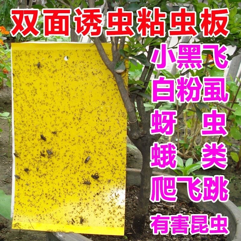 粘虫板黄板双面小飞虫灭杀虫子大棚灭苍蝇贴纸果园果蝇蚊子诱捕器