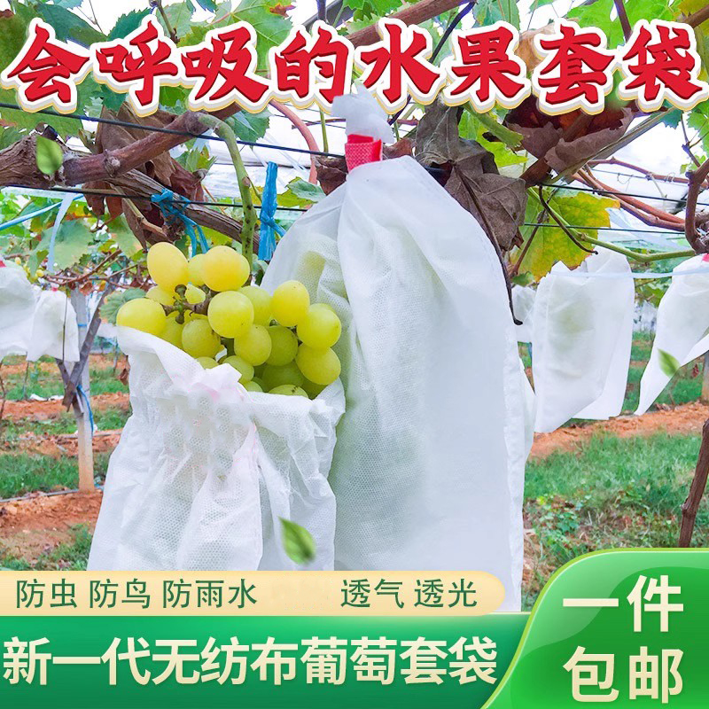 水果套袋防虫防鸟无纺布袋包葡萄无花果枇杷芒果袋草莓保护网袋子