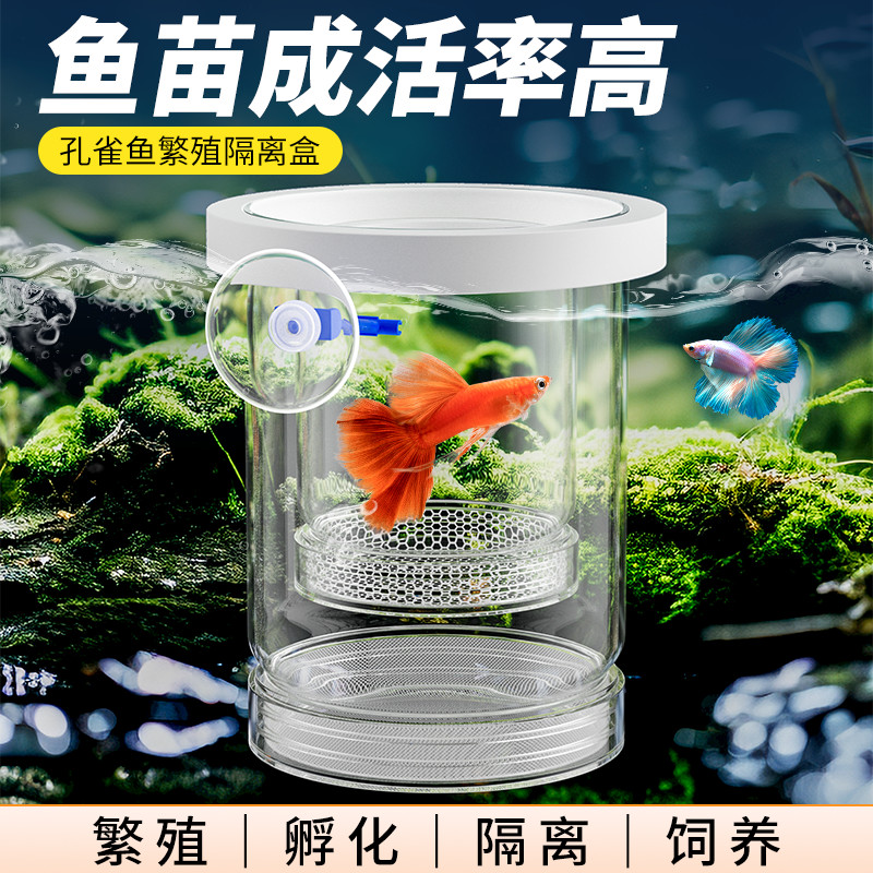 【双层分离】孵化隔离多功能培育