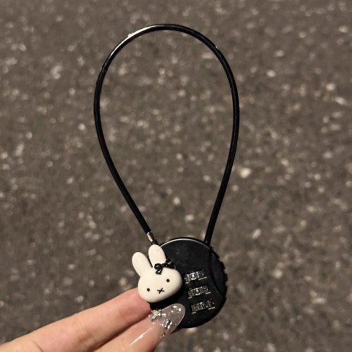 电动电瓶车筐篮钢丝挂锁密码锁