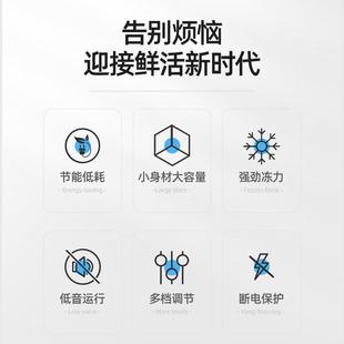 TBO串串型速冻小柜家用大冰量全冷冻小保鲜双温冷柜两用迷你家容