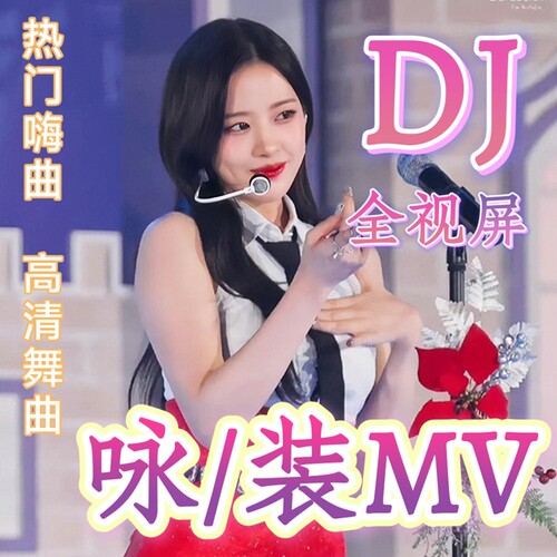 高清MP3/4视频车载u盘歌曲高音质