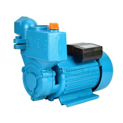 抽水泵抽水机农用电动单相微型水泵370W家用清水泵ZDB自吸泵220V