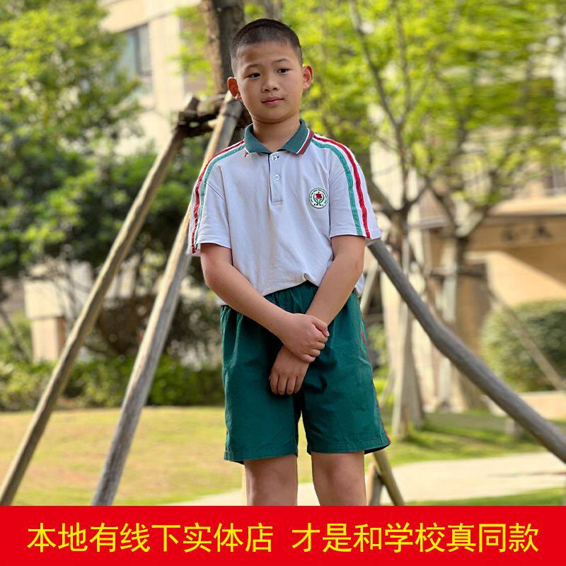 上杭进校附小夏天短袖短裤套装爱格秋 长裤外套宽松学校校服服装