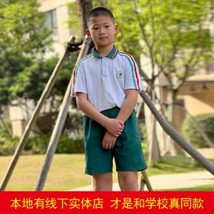 上杭进校附小夏天短袖短裤套装爱格秋 长裤外套宽松学校校服服装