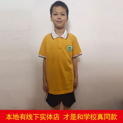 上杭城东小学黄竹小学夏天短袖短裤秋装套装学院风小学生校服服装