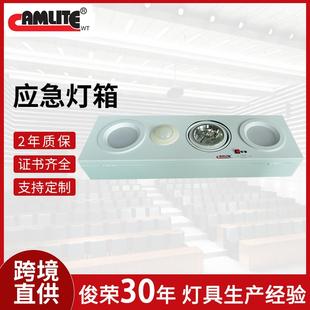 外贸led停电应急灯备用消防灯箱箭头指示灯照明灯LED应急灯箱