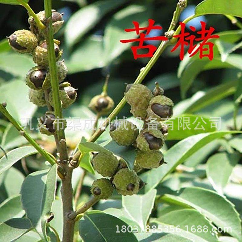 新型子苦槠果子剥壳机 油茶果脱粒损机失低 莲子KBQ桐率籽板栗脱,农机/农具/农膜,收割机械,淘宝优惠券,粉丝福利购,淘宝优惠卷