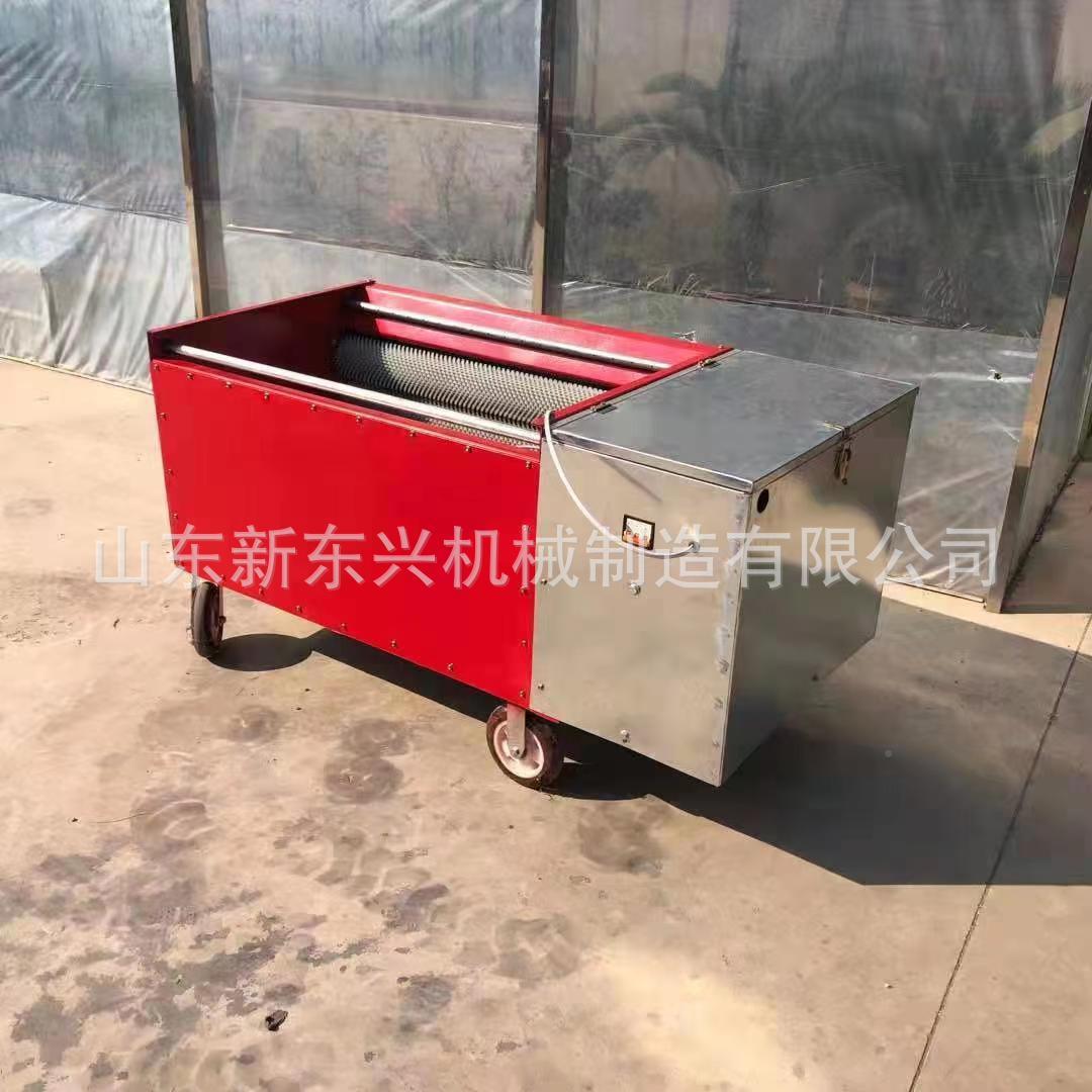 鲜核桃剥壳核机 电动山桃剥青 皮机全GPE自动核桃剥壳机