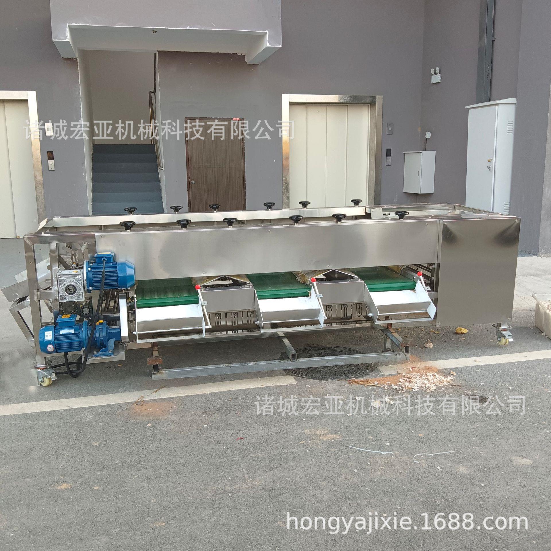 滚 式果大小分选机圣女果GWD马铃薯自动选果机 洋杠葱土豆分蔬级