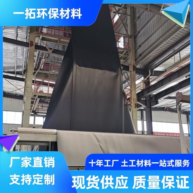 土工膜高聚乙烯防渗密膜鱼塘养坡殖用度黑VOK膜护沼气池防水膜