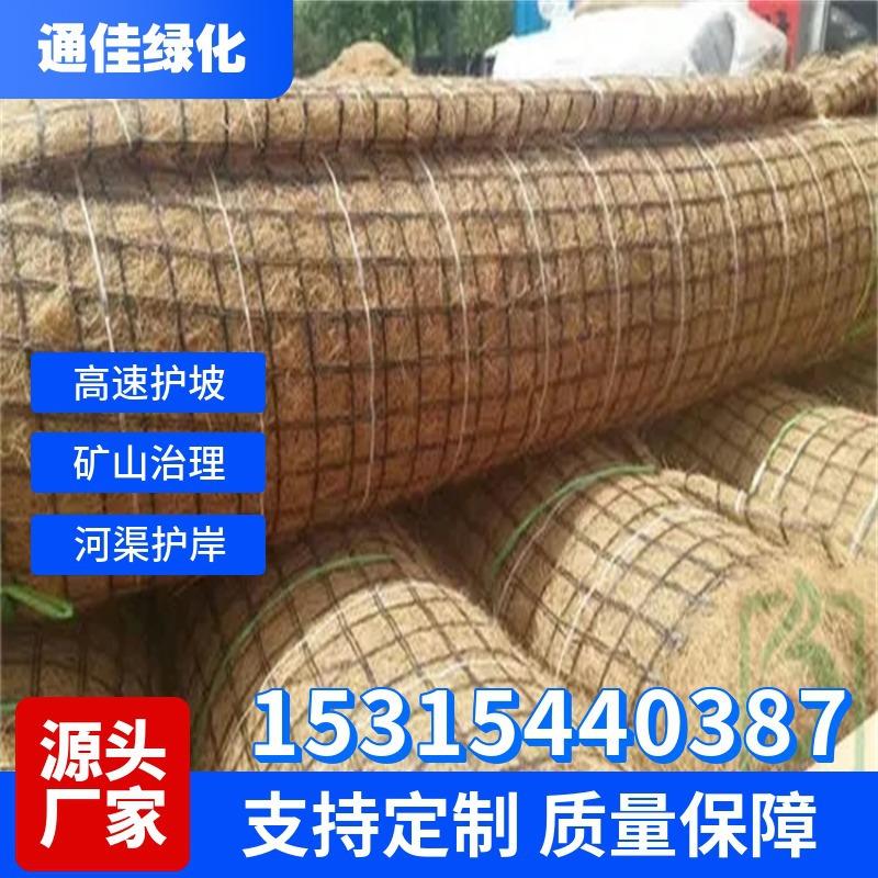 道江西加筋冲毯 水土保护毯态497 水保植生毯 生毯 河治理绿防化