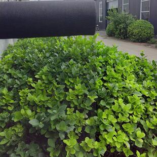 纱纱玻璃纤维纱文旅纱舞台纱宴会厅纱幔纱幕婚纱幕布现代简约纱幔