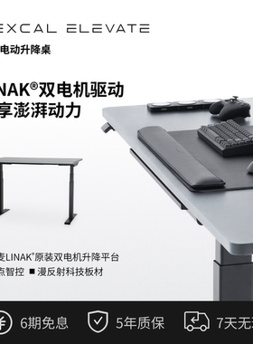 Elevate E5环保桌板灰色LINAK双电机160KG大承重可定制免费安装