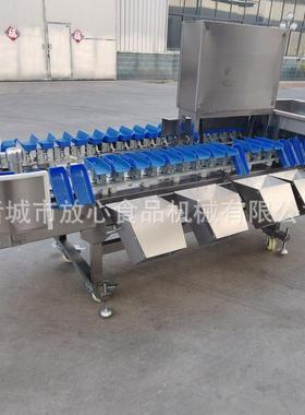 智能称重分闸选机 大蟹牡蛎鲍海鱼参VQF称重分选机动 全自重量分