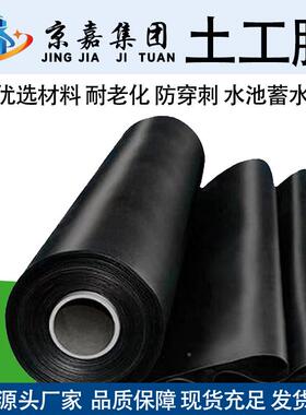 黑绿土封工色膜 垃圾填埋场绿化渗尾矿库场XVX防黑绿色土工膜厂家