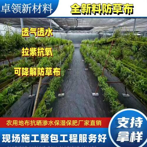 pe防草0布蓝莓基地果树除草布大棚化茶抗老农园用90g草黑色防布