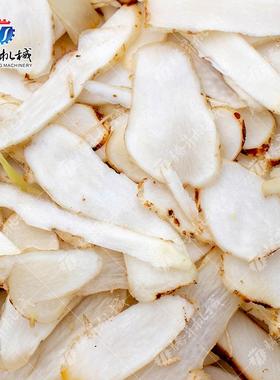 广萝东SOIA-Q100型切瓜果切丝机 酒店土豆切丝机 卜丝机 牛T蒡切