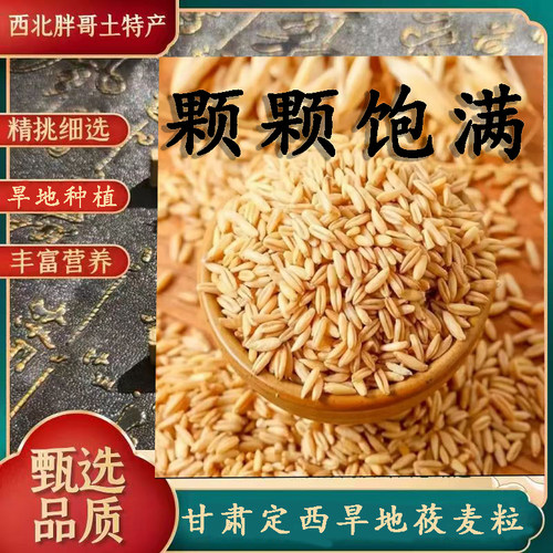 甘肃莜麦  做甜胚子 脱皮莜麦米 油麦玉麦 产地直发 包邮