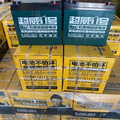 速发单只/电瓶12安20AHV6-DZF-20