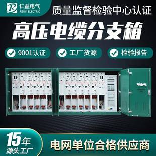 12环网柜户外气体绝缘柜SF6开闭所生产厂家 高压电缆分支箱FW