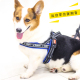 速发狗链狗遛型绳小子犬中型犬比熊法斗柯基用品胸背带