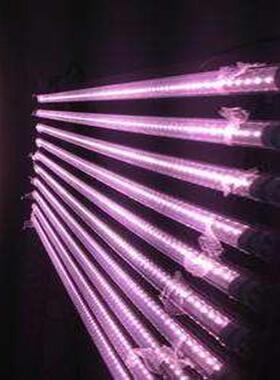 T8LED粉红色日光灯管猪肉熟食超市生鲜水果照明LED全光谱灯管