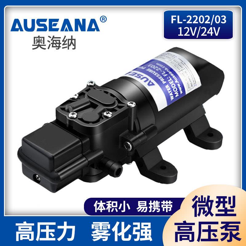 FL-220212v24v直流喷雾器高压水泵农用微型电动隔膜泵小型抽水泵