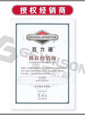 25T2/公XR210通0百力汽油发动机水平4键槽英制轴13.5马力2025T2CC