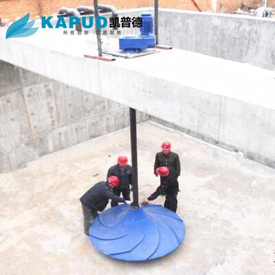 玻S璃钢曲GSJ2000面搅双拌机沉底伞形搅拌器Q式J系列