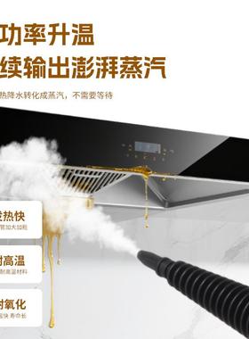 手蒸持高温蒸汽清洁机烟便携式车家用多功能厨DF-A001房汽油机清
