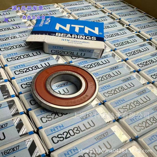 CS203LLU393921E1726203-2RS1SKF
