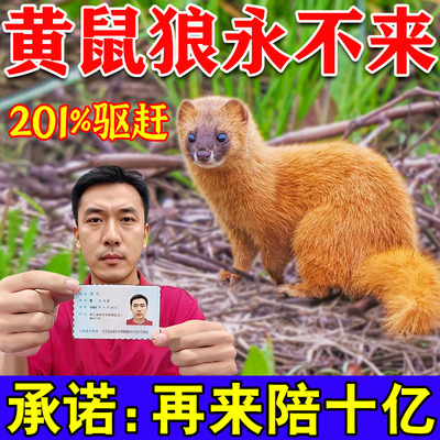 驱黄鼠狼专用药养鸡防黄鼠狼神器养殖场强力气味驱赶吓黄鼠狼克星