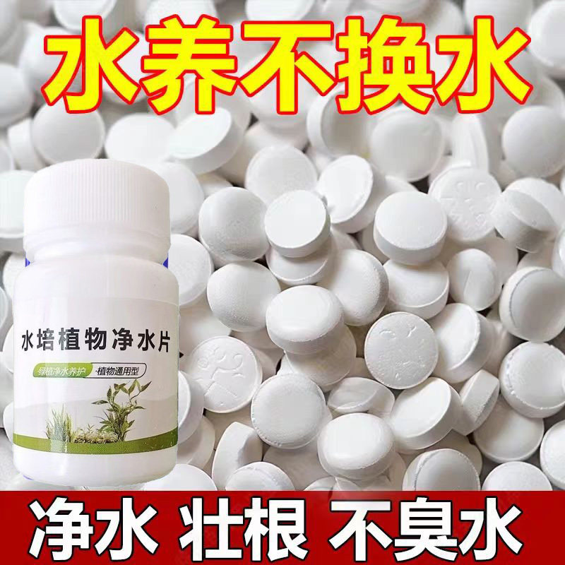 水培植物净水片除臭杀菌消毒富贵竹碗睡莲专用净化水质鲜花保鲜片,鲜花速递/花卉仿真/绿植园艺,家庭园艺肥料,淘宝优惠券,粉丝福利购,淘宝优惠卷