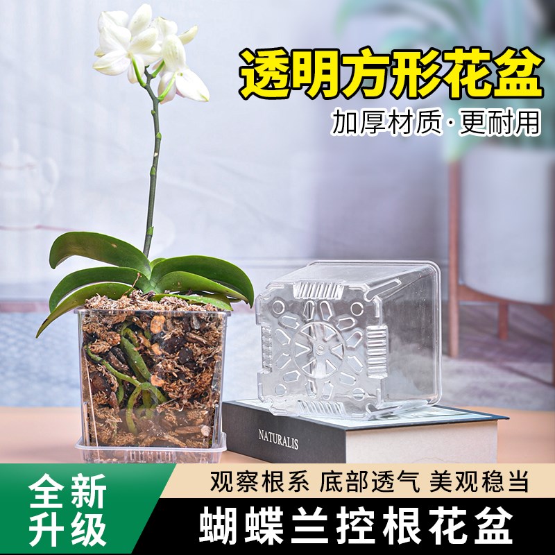 现货速发透明控根盆兰花水苔蝴蝶兰花盆塑料透气镂空大号花盆家用