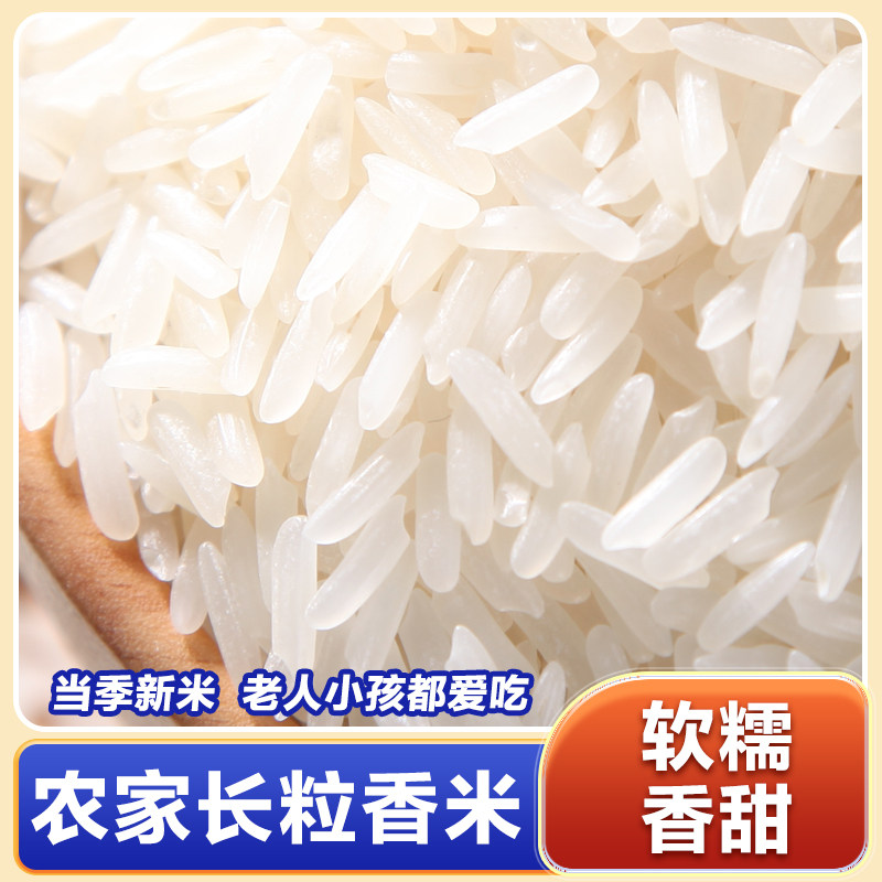 【推荐特价】5斤新鲜大米丝苗王长粒香1斤小袋500g试吃装厂家直发
