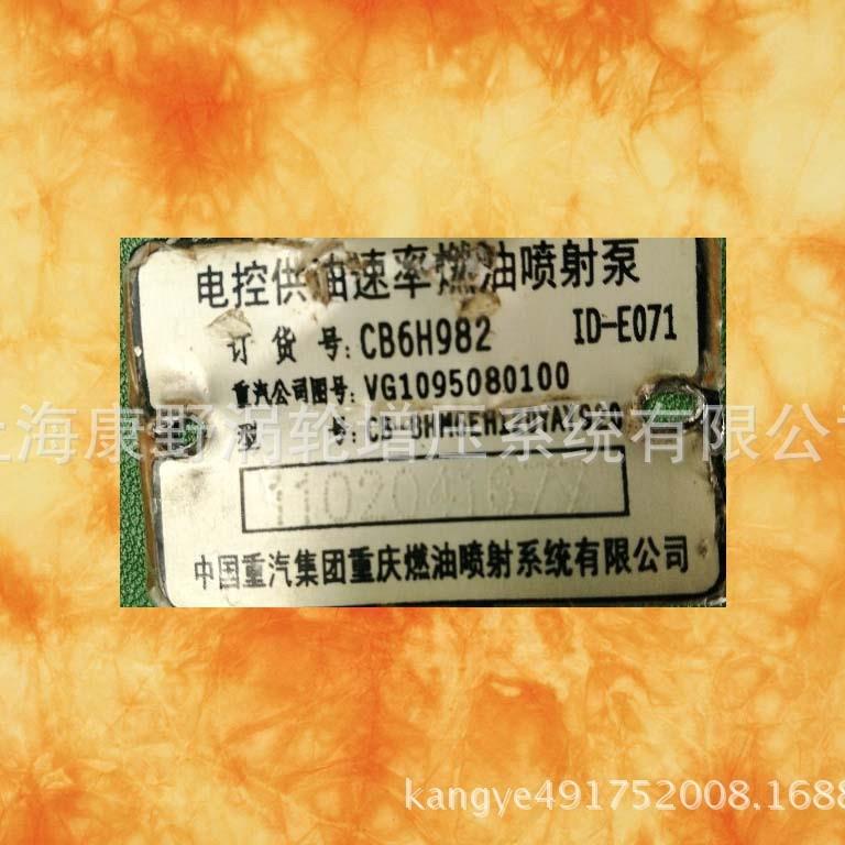 重汽喷油泵VG1246080038 CB6H933和 *H46D01E089002 CB6P245电调