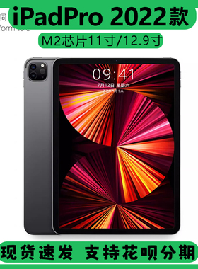 Apple/苹果 11 英寸 iPad Pro 2022款 13英寸美版 学生平板电脑