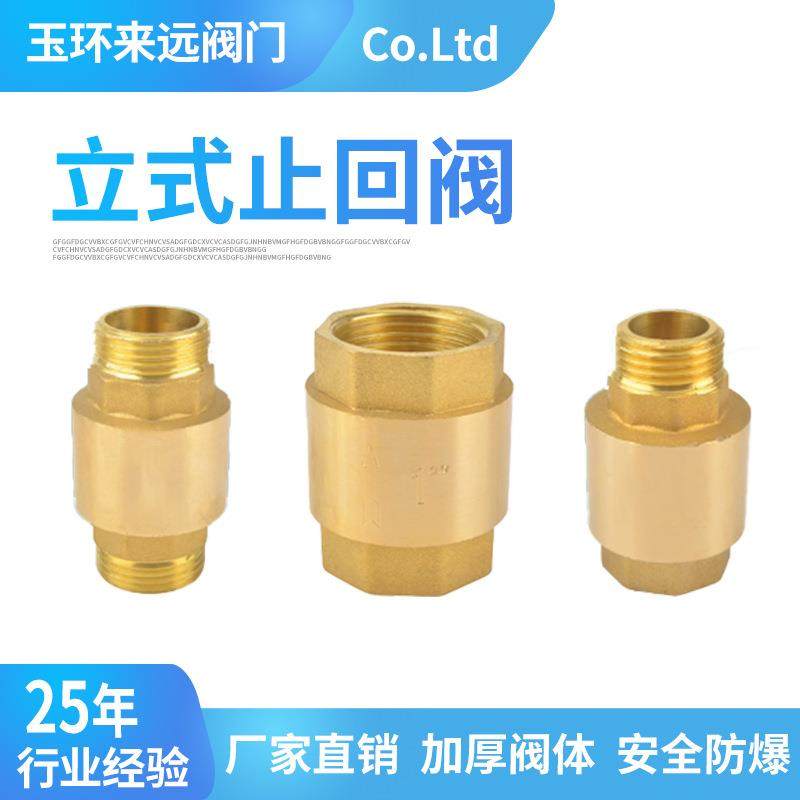 厂家直销立式止回阀水泵用气动单向阀防逆水管水表前黄铜止回阀芯