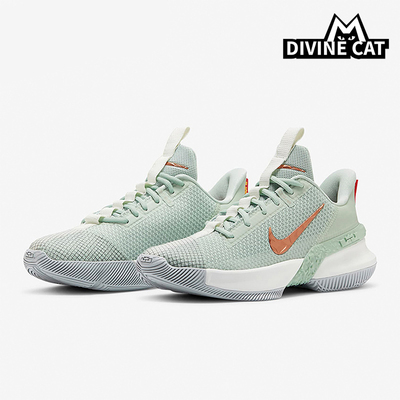 Nike/耐克正品Ambassador 13 男女透气轻便缓震篮球鞋CQ9329-300