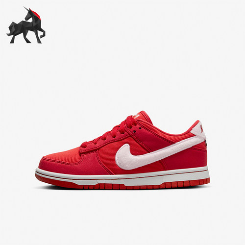 Nike/耐克大童运动休闲板鞋