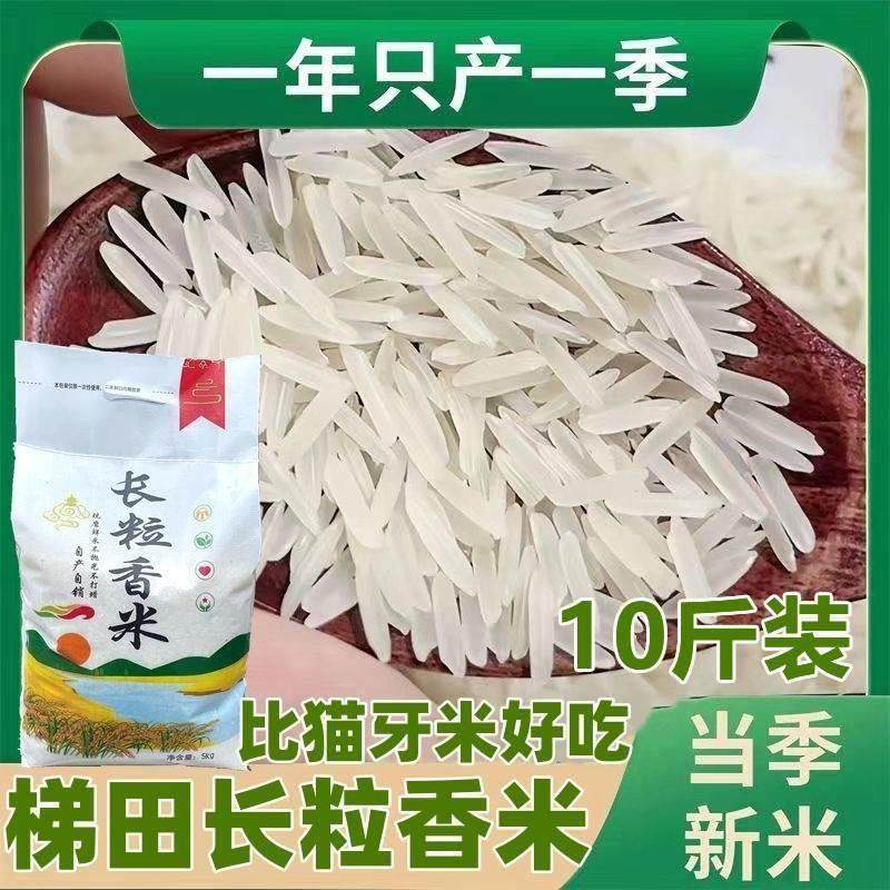 2024新米贵州梯田长粒香米农家大米不抛光不打蜡自种软米5斤10斤,粮油调味/速食/干货/烘焙,大米,淘宝优惠券,粉丝福利购,淘宝优惠卷