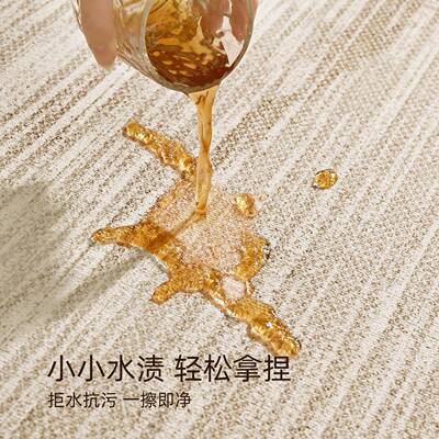 地毯诧客厅洗FEM4F2112025新款寂风免可擦家用沙发防地水垫卧室大