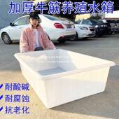 塑料水箱浅长方形739加厚牛筋大号水桶卖箱鱼盆养鱼周储转水产养
