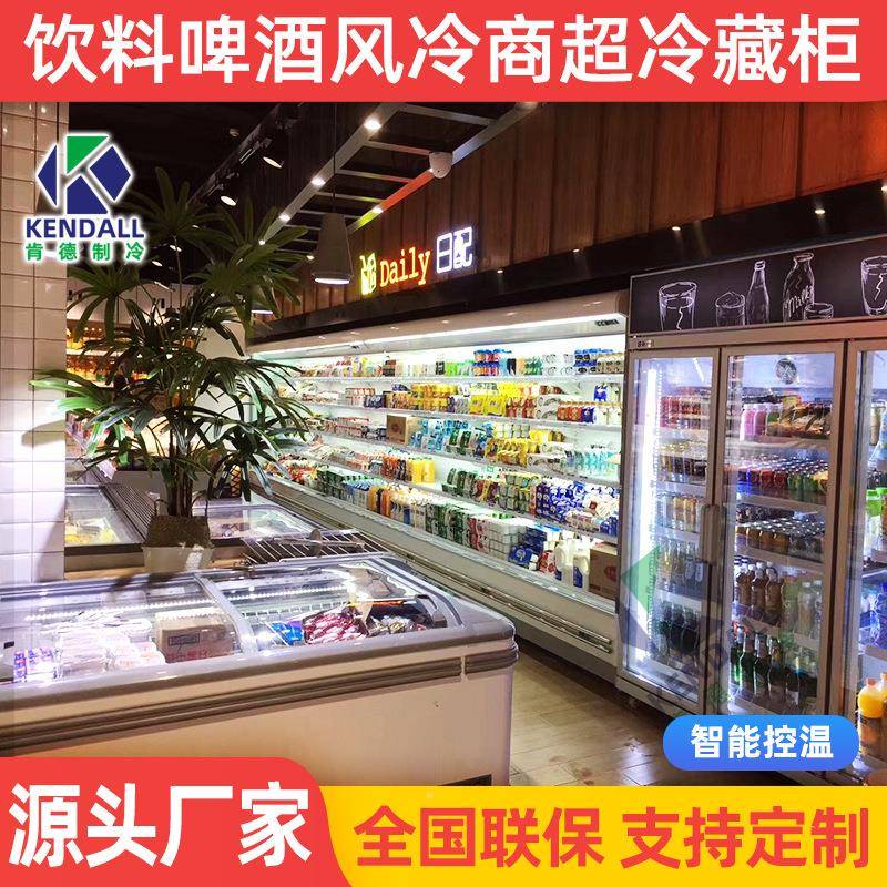 肯德超四低市便利店饮料啤酒展示XHL柜冷门商用冷柜温奶制品藏柜