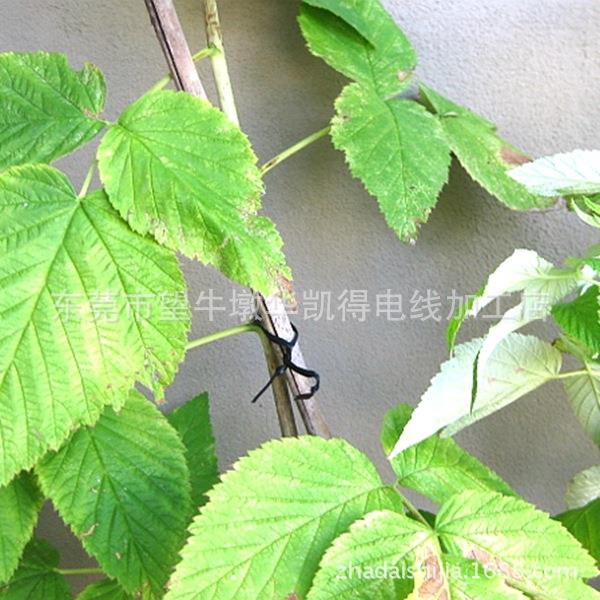 包塑铁芯0.55枝0.锌2023091170镀.9条猕猴桃扎带园林葡萄扎丝1000