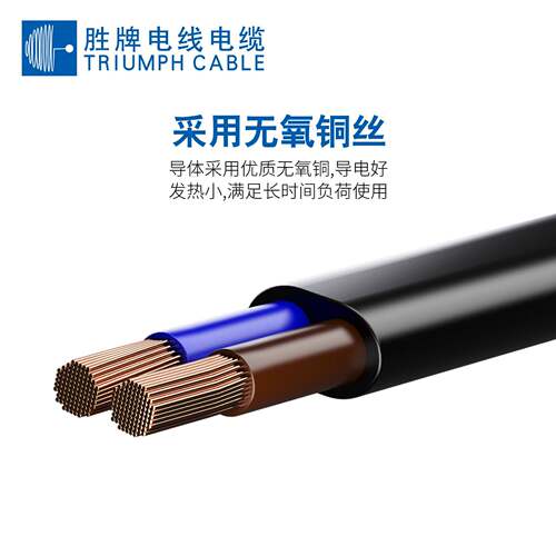胜牌H03VVH2-F扁线2芯05~.75.平方VDE电源线插线MTN头P0VC护套线