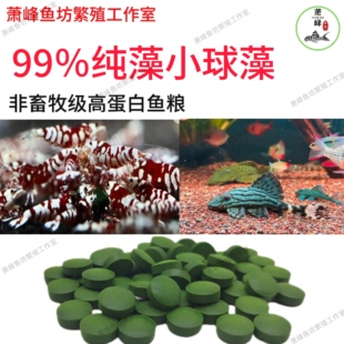 小球藻鱼食鼠鱼胡子大帆异型底栖鱼饲料苏螺水晶虾苏虾虾粮开口粮
