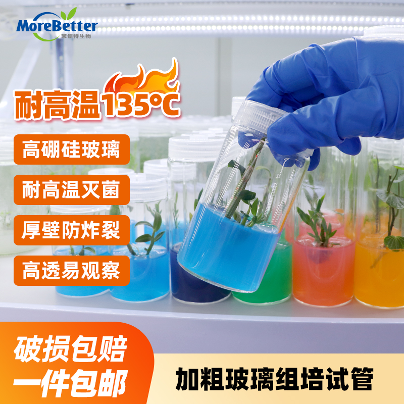 加粗高硼硅 组培玻璃试管 耐高温高压灭菌 透气防爆 初代培养